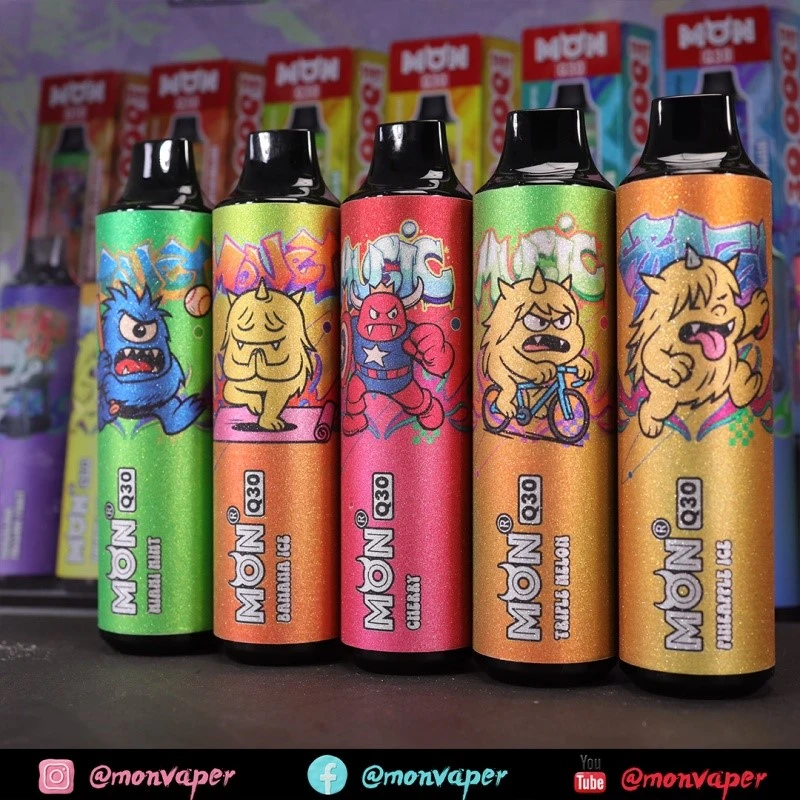 MON vaper 30000 puffs MON vaper 30000 puffs